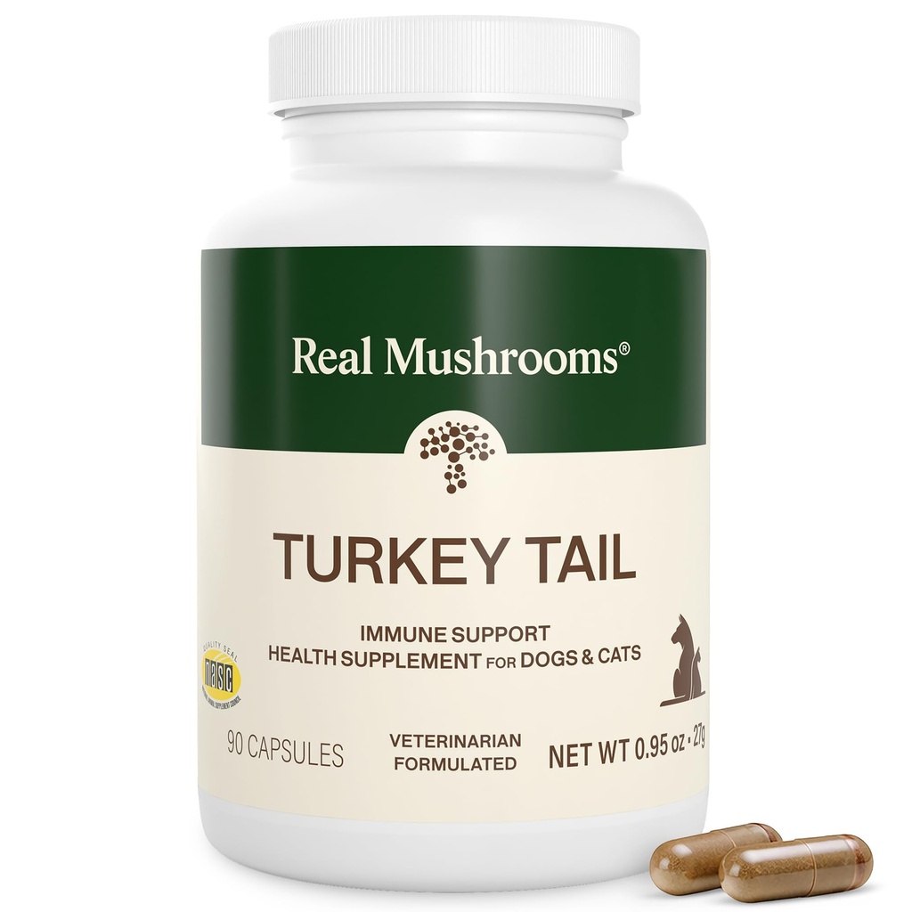Real Cogumelos Turquia Tail Cápsulas para Animais de estimação – Gato Probióticos e Vitaminas Dog – Suplemento de Cogumelo Orgânico para Cães e Gatos – Suporta equilíbrio diário e bem-estar não-GMO, 90 ct