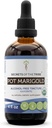 Secrets of the Tribe Pot Marigold USDA Orgânico Extrato Livre de Álcool, Drops de Ervas de Alta Potência □ Feito a partir de 100% certificado Organic Pot Marigold (Calendula, Calendula Officinalis) Secado Flor (4 onças)