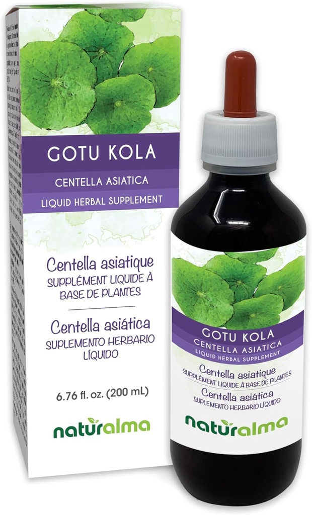 Naturalma Gotu kola (Centella asiatica) erva sem álcool Tintura - 6.76 fl oz Extrato líquido em gotas - Suplemento de ervas - Vegan