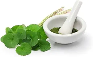 (Pacote de 2) Pó orgânico de Centella Asiatica (50g)