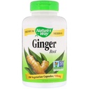 Ginger Root 550 mg, Cápsulas 180ea