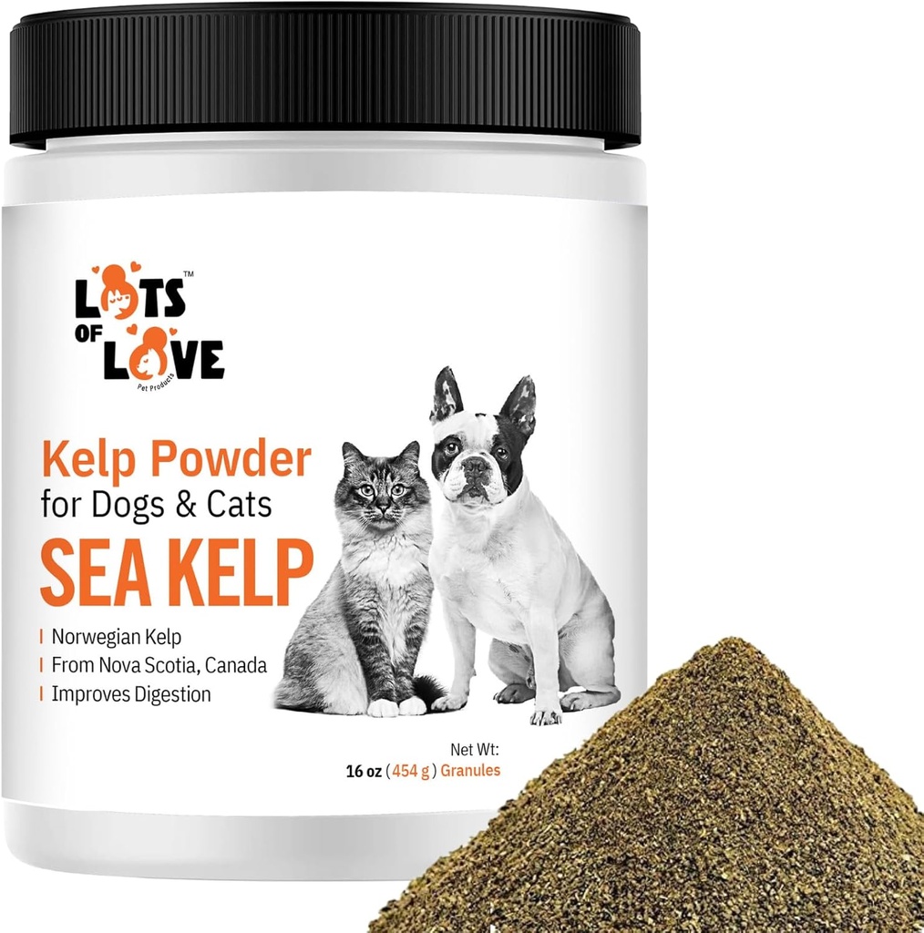 Kelp pó para cão e gato - Orgânico Kelp suplemento grânulos em pó (16 Oz, 1 Libra)