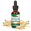 Resposta da natureza Ginseng branco raiz álcool livre 1 onça fluida □ Apoio imunológico □ Promove função cognitiva □ Clareza mental e foco