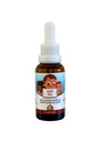 Punkin Butt Baby Ear Oil (Orgânico Alho, Mullein, Calendula Orelha gotas seguro para lactentes (1 oz)