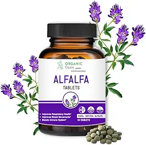 Alfalfa Medicago Sativa Comprimidos, 60 Comprimidos, Melhora a Saúde Respiratória e Movimentos de Bowel, Aumenta o Sistema Imune,Organic and Natural □ Suplemento Super-alimentar
