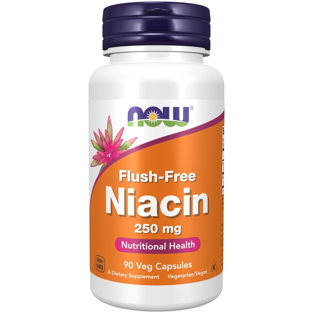 Now Foods Supplements, Niacin (Vitamina B-3) 250 mg, Livre de Flush, Saúde Nutricional, 90 Veg Cápsulas