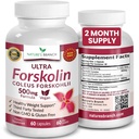 Ultra Puro Forskolin para o gerenciamento de peso Força máxima Coleus Forskohlii Extrato de raiz em pó, 40% Suplemento Lean padronizado para homens e mulheres