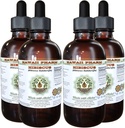 Hibisco extrato líquido sem álcool, Hibisco orgânico (Hibisco Sabdariffa) Glicerite de flor seca Havaí Pharm Suplemento de ervas naturais 4x4 oz