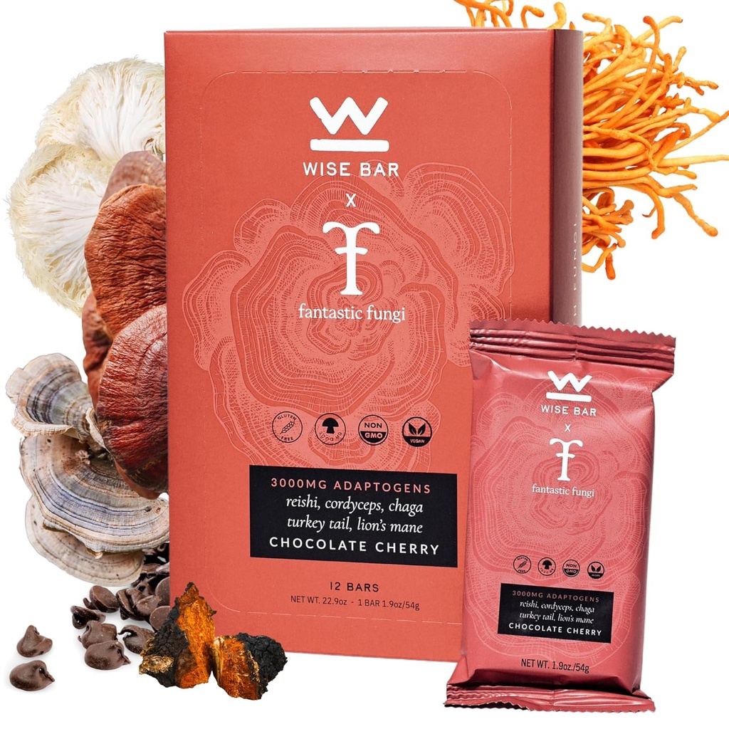 Wise Bar Adaptogen Mushroom Nutrition Bares com Reishi, Lions Mane & Ashwagandha, Vegan orgânico & Gluten Free Snacks para foco natural, energia e suporte de imunidade, Chocolate Cherry Flavor, 12 Conde