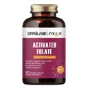Folato ativado-L 5-MTHF DFE Suplemento - metilfolato B9 MTHF com vitamina B12, CoQ10, e framboesa vermelha - metilado L-Metilfolato para homens e mulheres - 500 mcg - 90 Cápsulas Veggie