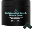 Holistic Bin Organic Sea Moss Cápsulas 100% Puro Mar do Caribe Moss + Dulse Seaweed □ Selvagem Colheitada □ Sem Enchimentos