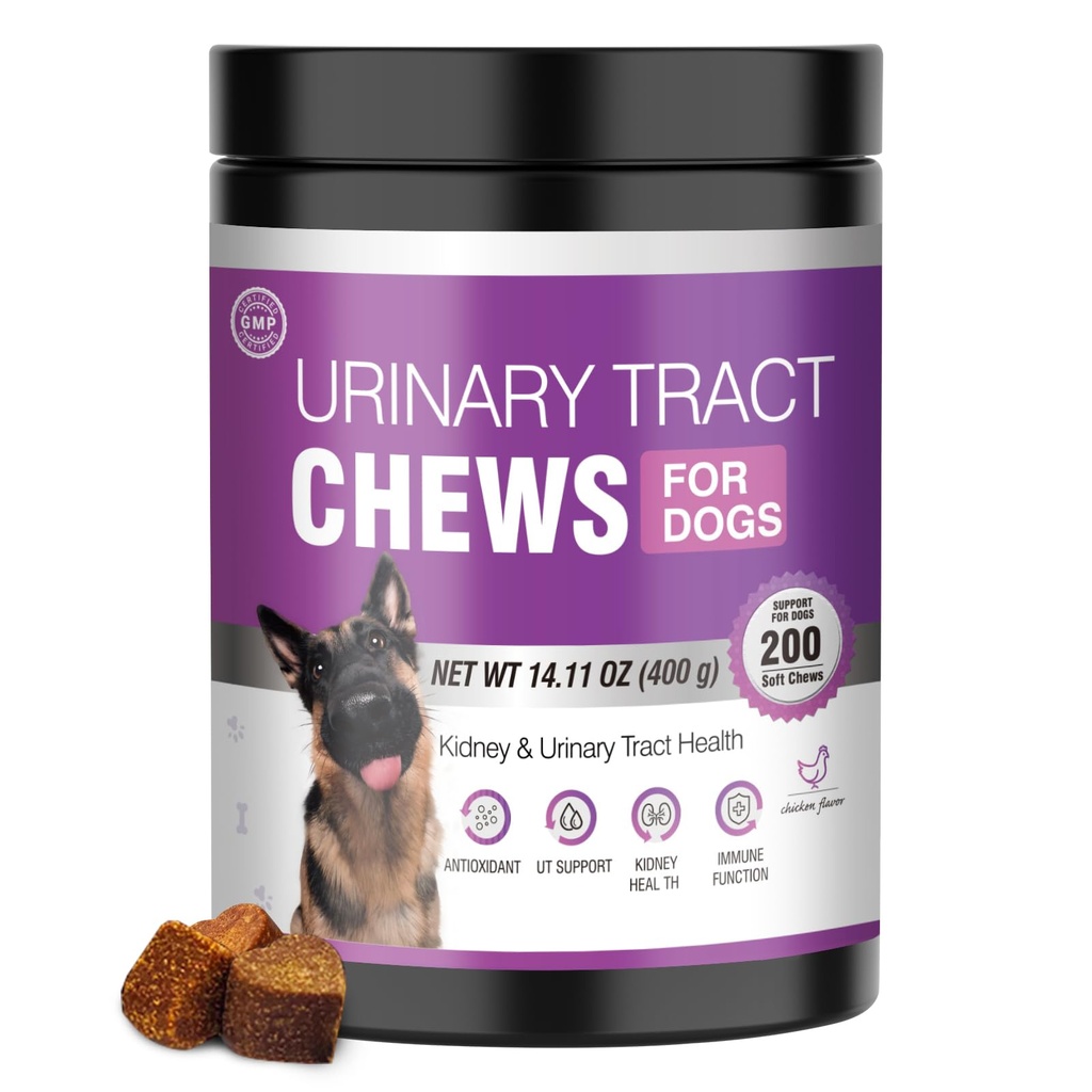 Tratamento do cão ITU Suplemento de cranberry para cães 200 Mastigar Medicina de trato urinário Pílulas de controle de bexiga Suporte renal Cranberrys Extrair Mordidas Puppy UTI Infecção trata Remédio de incontinência para cães