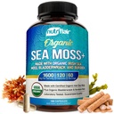 NutriFlair Orgânico Sea Moss 1600mg, 120 Cápsulas Plus Bladderwrack & Burdock - Prebiótico Super Food - Sistema imunológico & Saúde Digestiva - Tiróide, Pele saudável, Keto Detox, Gut