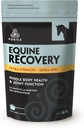 PURICA Ácido Hialurônico Equino - Equine suplemento de apoio conjunto cavalo com glucosamina, pó de HSH, betaína, magnésio, vitamina C e E - chá verde e extrato de sementes de uva - suprimentos de cavalos e doces