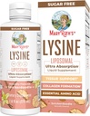 Vegan Lysine Supplement by MaryRuth's Ultra Absorção Lysine 500mg Suporte de Formação de Colágenos