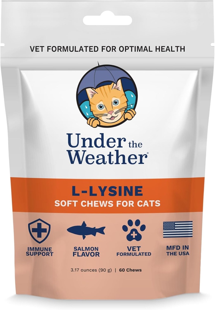 Sob o tempo animal de estimação diário gato L-Lysine