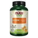 NOW Pet Health, L-Lysine Supplement, Pó, Formulado para Gatos, NASC Certified, 8-Ount