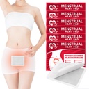 Patches Menstruais, Patches de calor para Cães Menstruais, Patches de Terapia de Calor de Cães de Período Portáteis - 6 Pacote quente Compress Warm Wrap, Viagens Essenciais para Mulheres