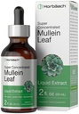 Horbäach Mullein Leaf Extract Drops (Tintura Líquida Livre de Álcool)