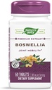 Boswellia Padronizada do Caminho da Natureza, 40% Ácidos Boswellic por serviço, TRU-ID Certificado, Vegetariano, 60 Comprimidos, Embalagem de 2