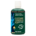 Natures Plus Líquido Ultra Rx-Joint, Lemon Mel - 30 fl oz - Suporta Função Conjunta Saudável - com Glucosamina, Condroitina e HSH - Gluten Free - 30 Servings