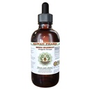 Senega Snakeroot Alcohol-Free Liquid Extract, Senega Snakeroot (Polygala Senega) Secado Glicerite Glicerite Natural Herbal Supplement, Hawaii Pharm, USA 2 fl.oz