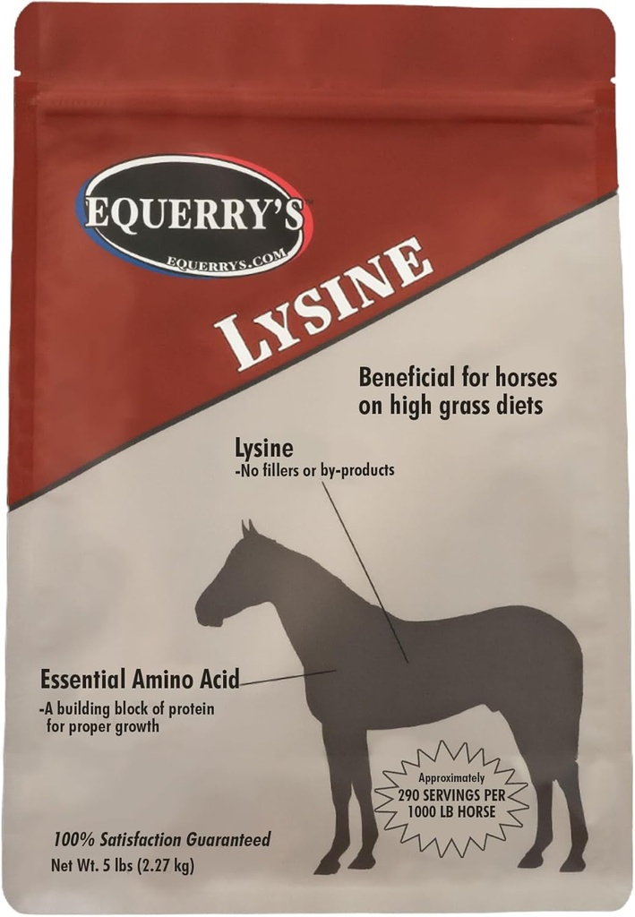 Suplemento de Lysina de Exerry para Cavalos Suplemento de Pó de Lisina para Apoio Músculo e Saúde Imunitária