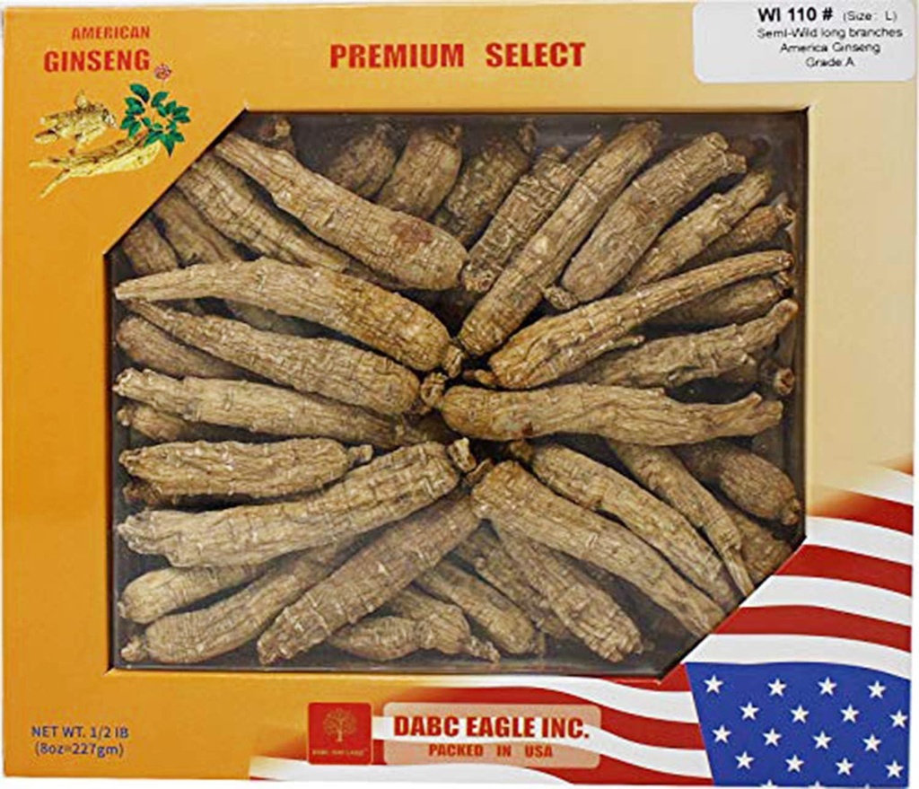 Selecionado à mão American Wisconsin Cultivado Ginseng Raiz