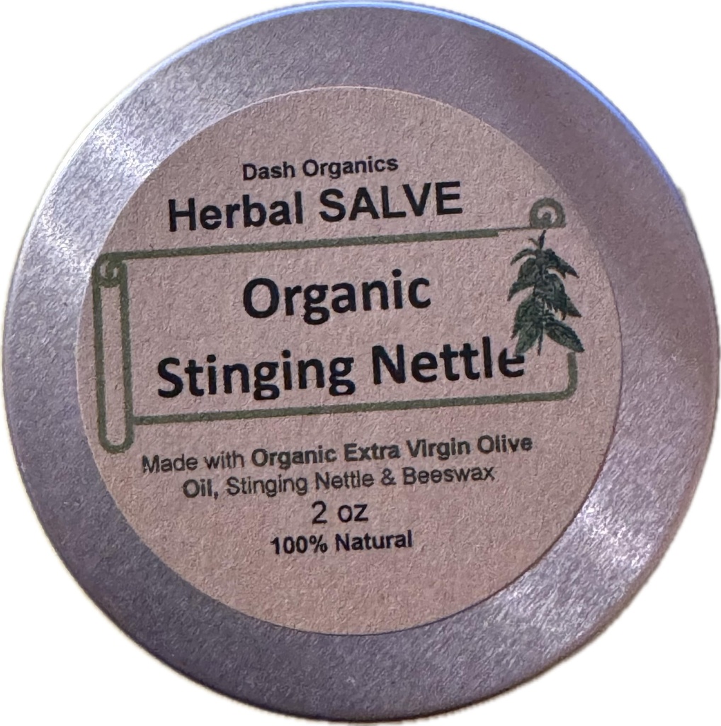 Orgânico Stinging Nettle Salve 2 onças Inacentado