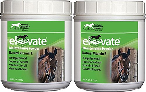 Kentucky Performance Products 2 Pack of Elevate Maintenance Power, 2 libras cada, suplemento natural de vitamina E