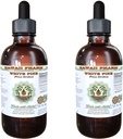 Pinho branco extrato líquido sem álcool, Pinho branco (Pinus Strobus) Bark seco Glicerite Suplemento de ervas naturais, Havaí Pharm, EUA 2x2 fl.oz