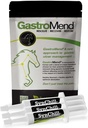 SynChill 3 Pack + Pacote GastroMend para Cavalos - Ampla Saúde do Estômago e Apoio Comportamental, Aids em alívio de úlcera gástrica, promove calma e foco, tudo natural, custo eficaz