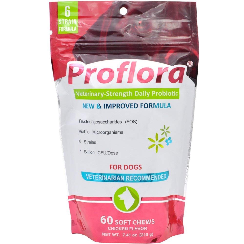 Probióticos para Cães-Completo Gut Saúde & Imune Suporte. Fácil de usar Probióticos Digestivos Multi-Strain. Transições de dieta mais fáceis, pele mais saudável & casaco & ajuda a tratar a diarreia. 60 Mastigações Macias