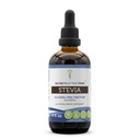 Segredos da Tribe Stevia Tintura sem álcool (Glicerite) 653 mg Feito com Stevia (Stevia Rebaudiana) Folha seca (4 Fl Oz) Suplemento de açúcar no sangue