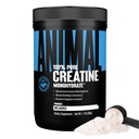 Creatina animal pó mono-hidratado - Creatina micronizada para mulheres e homens, suporta o crescimento muscular, força, resistência, recuperação e produção de ATP, Gym & Treino Suplementos - Sem sabor, 500g