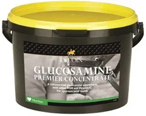 Lincoln Glucosamina Premium Concentrate Horse Supplement - 600g (saúde ótima nas articulações e cartilagem)