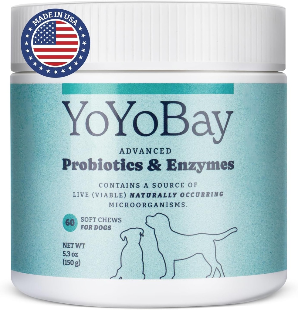 Probióticos para cães, para Gut Saúde e Saúde Digestiva, Equilíbrio de Levedura, Apoio Imune, Probióticos de Cão e Enzimas Digestivas, Mais de 1 bilhão UFC, 60 mastigação suave