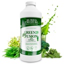 Enterrado Treasure Green20 Fusion – Mistura de superalimentos com Vollagen para pele, cabelo e apoio conjunto, Base de plantas, Vegan, Não-GMO Gluten-Free, Dairy-Free, Soy-Free, 32oz Liquid