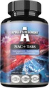 APOLLO'S HEGEMONY NAC+ 150 mg - N-Acetil L-Cysteine e Extrato de Alcachofra, 300 Tablets Vegan, 1200 Servings, Suplemento dietético de Aminoácido, Suporta Detox e Saúde do Fígado