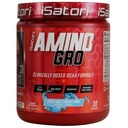 iSatori Amino-GRO BCAA Pó, Aminoácidos de cadeia ramificada com Glutamina, Pó de Eletrólito e Bio-GRO Peptídeos Bio-Ativos para Crescimento Músculo e Recuperação Pós-Ensaio, Blue Razz Snow Cone (30 Servões)