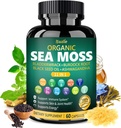 Bualle Organic Sea Moss Cápsulas com óleo de semente preta, Ashwagandha, Bladderwrack, Ginger & Burdock Root – Complexo de ervas para bem-estar diário – 60 Cápsulas (1 embalagem)