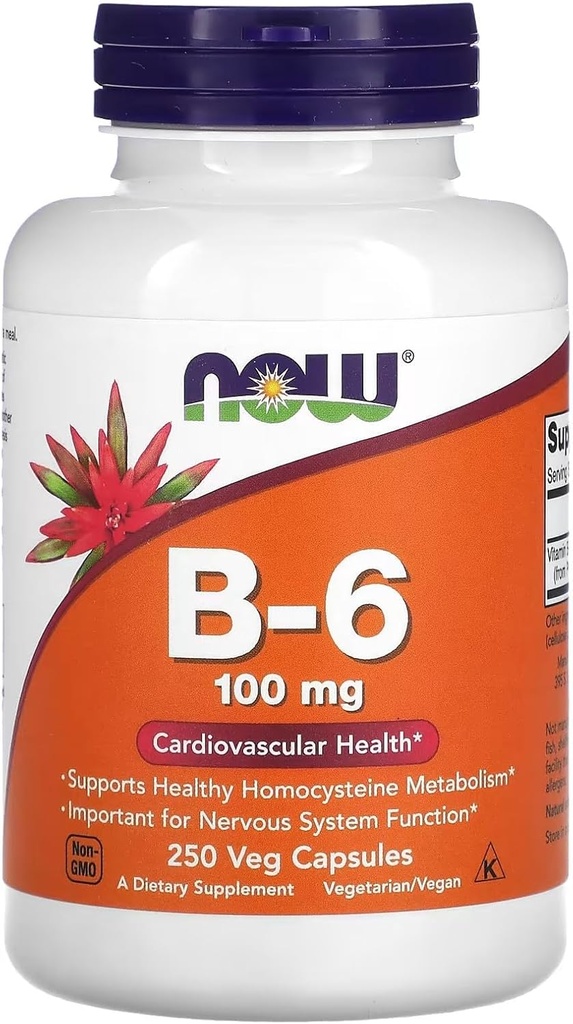 Agora Alimentos Vitamina B-6 250 Cápsulas/100mg