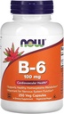 Agora Alimentos Vitamina B-6 250 Cápsulas/100mg