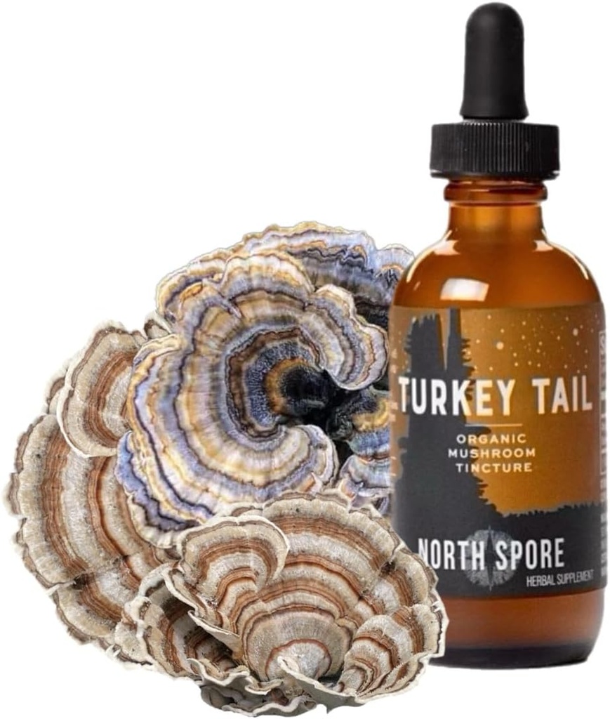 North Esporo Orgânico Turquia cauda Tintura □ Suplemento de cogumelos para Bem-Estar Imune □ Sustainable Grown & Confirmed for Potência