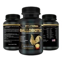 Galobiótico Multivitamina Natural para Galo, Galo - 100 Comprimidos