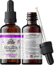 Mullein Tincture Extract, Orgânico Mullein (Verbascum densiflorum) Suplemento de ervas de folha seca em Glicerina vegetal a frio 670 mg
