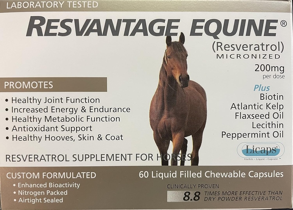 Equine Suplemento 60 Resveratrol mastigável líquido cápsulas cheias para cavalos