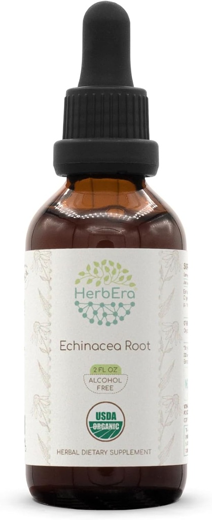 HerbEra Echinacea Root B60 USDA Tintura orgânica Extrato livre de álcool, gotas de ervas de alta potência, saúde do sistema imunológico