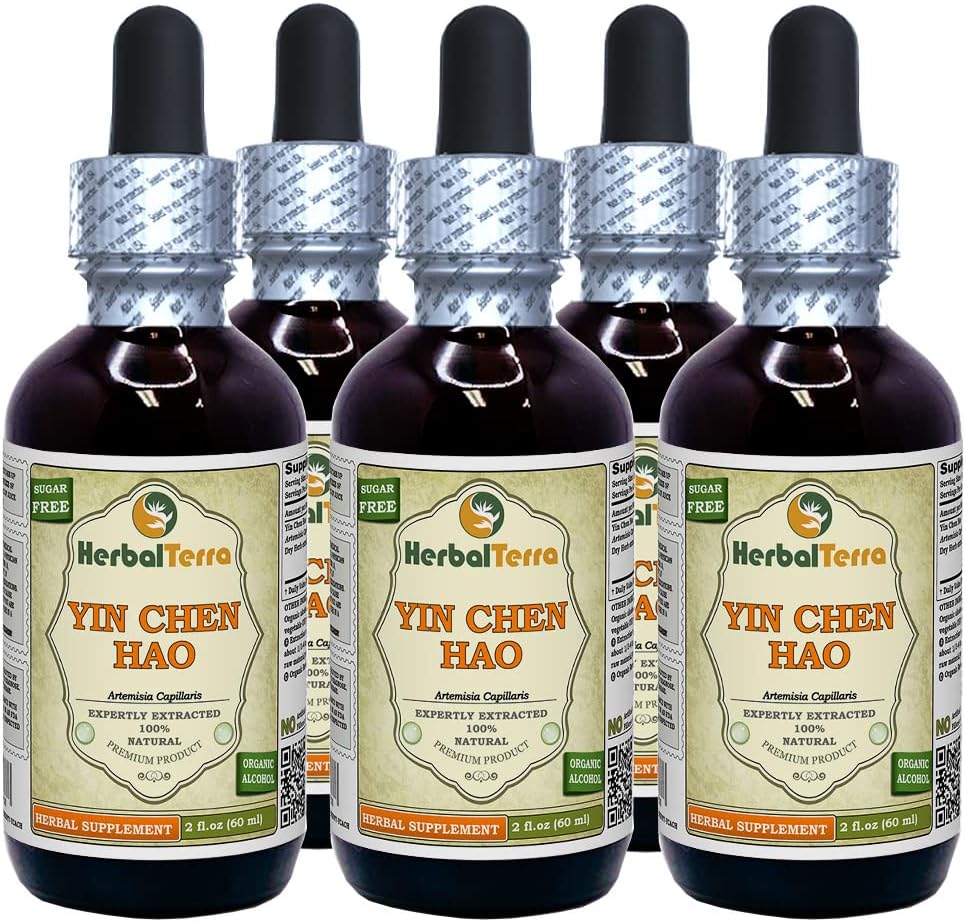 Yin Chen Hao (Artemisia Capillaris) Tintura, Extrato Líquido de Ervas Secas Orgânicas (Nome da marca: HerbalTerra, Proudly Made in USA) 5x2 fl.oz (5x60 ml)