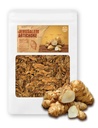 (8 oz) Agricultor Rainha Assada Jerusalém Alcachofra Helianthus Tuberosus rico Inulin Polifenol Dietário Fibe